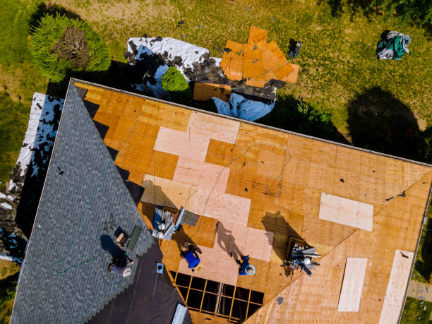 Best Gutter Installation and Roofing  in Tompkinsville, KY